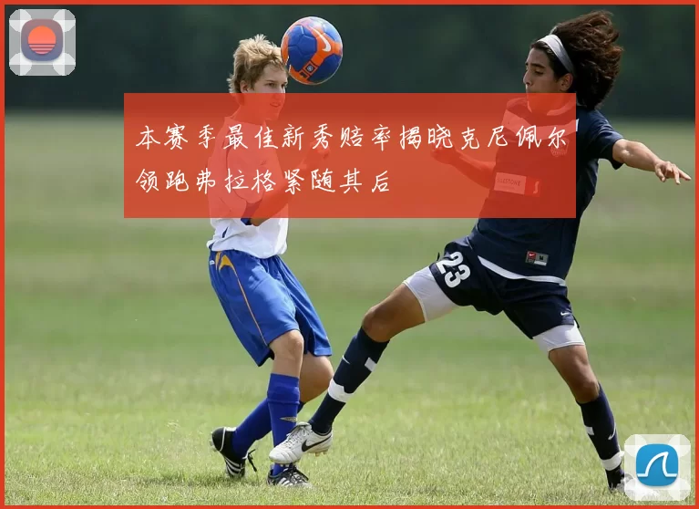 本赛季最佳新秀赔率揭晓克尼佩尔领跑弗拉格紧随其后